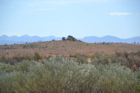 Windana Cottages - Maitland Accommodation 30