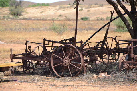 Windana Cottages - Maitland Accommodation 26