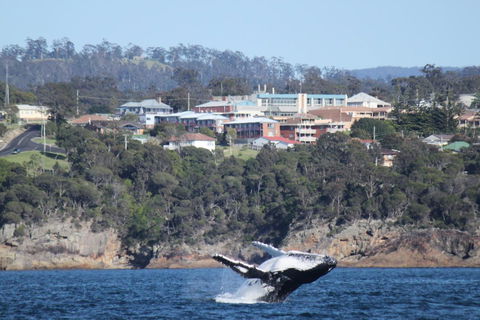 Heritage House Motel & Units - Maitland Accommodation 27