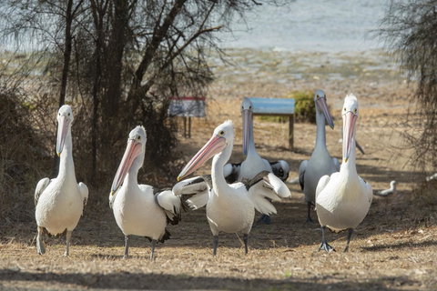Mercure Kangaroo Island Lodge - Maitland Accommodation 15