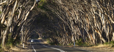 Mercure Kangaroo Island Lodge - Maitland Accommodation 40