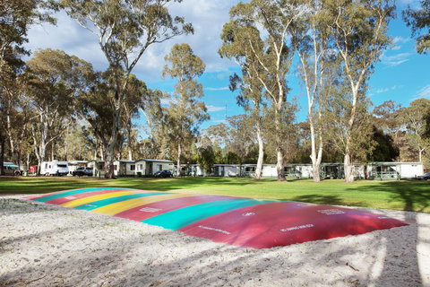 Discovery Parks - Clare - Maitland Accommodation 16
