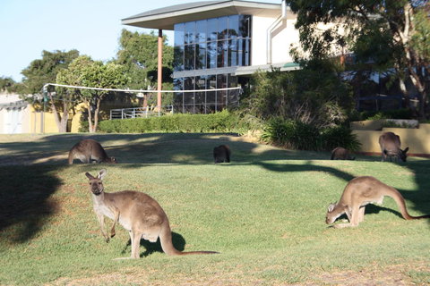 BreakFree Wirrina Cove - Maitland Accommodation 28