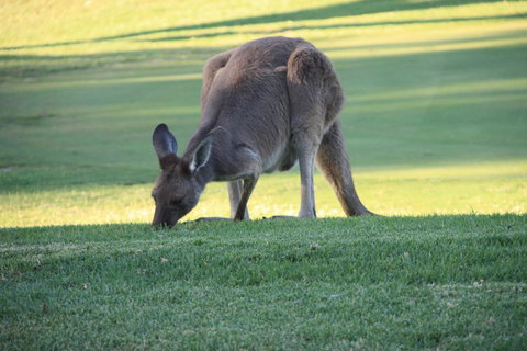 BreakFree Wirrina Cove - Maitland Accommodation 24
