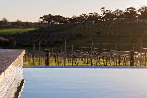 The Louise - Maitland Accommodation 25