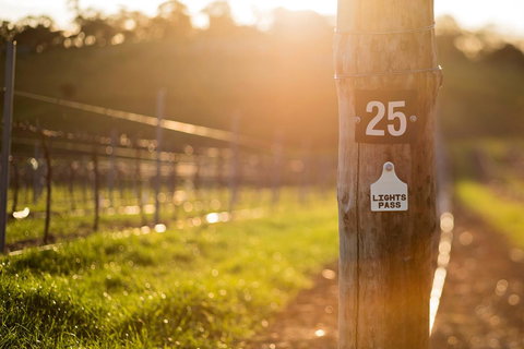 The Louise - Maitland Accommodation 44