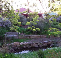 Frog Song at Willunga - Maitland Accommodation