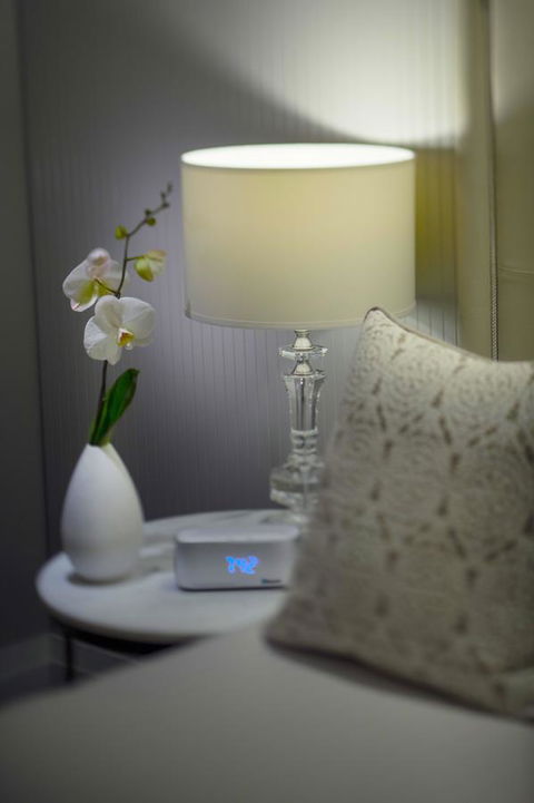 Mayfair Hotel - Maitland Accommodation 13