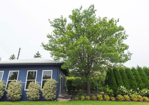 S T U D I O 22 Peaceful Retreat With Garden Views - Maitland Accommodation 11