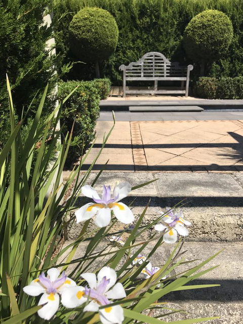 S T U D I O 22 Peaceful Retreat With Garden Views - Maitland Accommodation 13