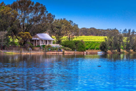 Stonewell Cottages And Vineyards - Maitland Accommodation 4