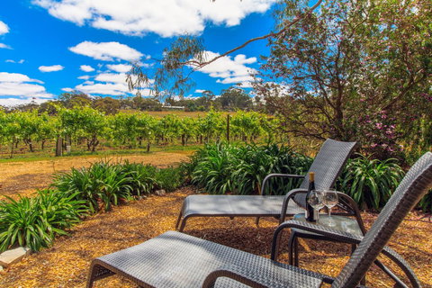 Stonewell Cottages And Vineyards - Maitland Accommodation 8