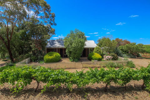 Stonewell Cottages And Vineyards - Maitland Accommodation 15