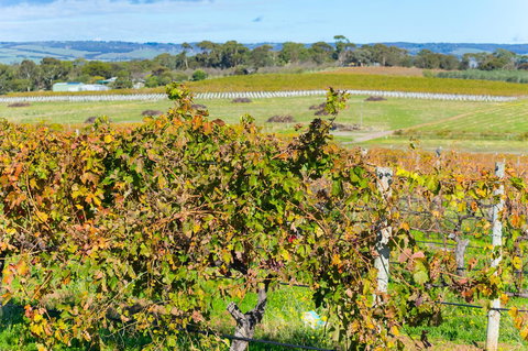 Sun & Surf Aldinga Beach Apartment - Maitland Accommodation 15