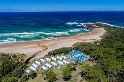 BIG4 Tasman Holiday Parks - Racecourse Beach - Maitland Accommodation 0