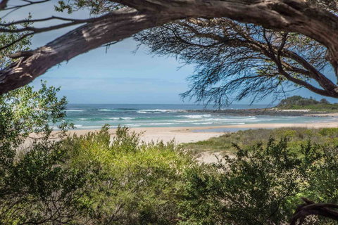BIG4 Tasman Holiday Parks - Racecourse Beach - Maitland Accommodation 7
