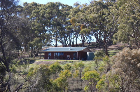 Molly's Chase - Maitland Accommodation 0