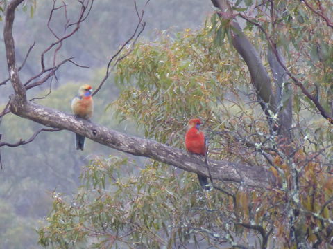 Molly's Chase - Maitland Accommodation 13