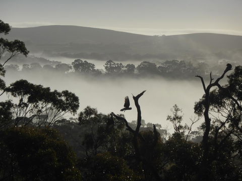 Molly's Chase - Maitland Accommodation 28