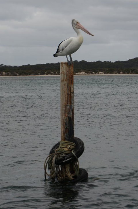 Kohinoor Getaway - Maitland Accommodation 13