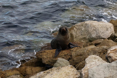 Kohinoor Getaway - Maitland Accommodation 12