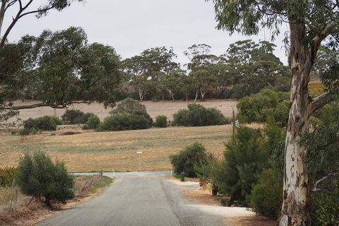 32 West B&B - Maitland Accommodation 4