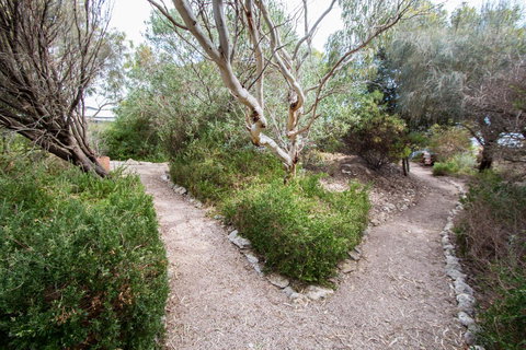 Coorong Waterfront Retreat - Maitland Accommodation 19