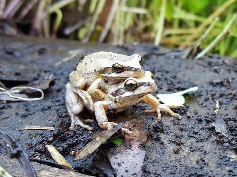 Coorong Waterfront Retreat - Maitland Accommodation 30