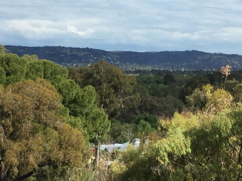 Tasha\'s Apartments On Warwick - Maitland Accommodation 33