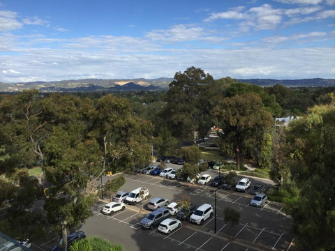 Tasha\'s Apartments On Warwick - Maitland Accommodation 37