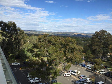 Tasha\'s Apartments On Warwick - Maitland Accommodation 36