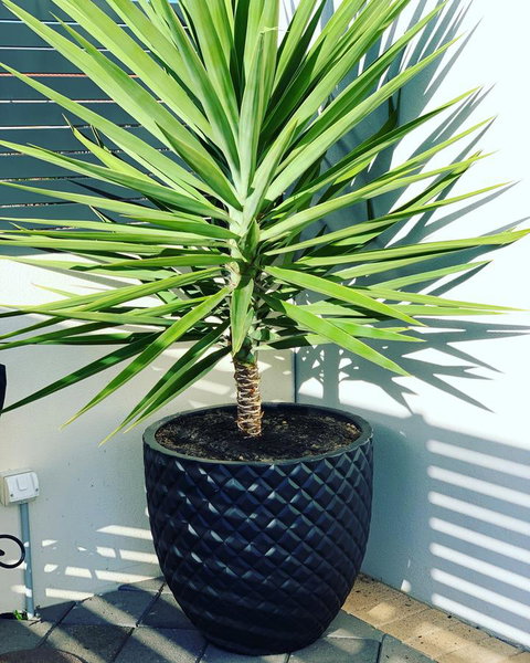 Seaview Sunset Holiday Apartments - Maitland Accommodation 4