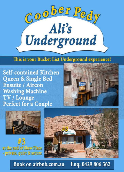 Ali\'s Underground Studio - Maitland Accommodation 12