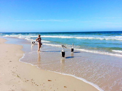 Atlantic West Beach Apartments - Maitland Accommodation 22