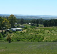 Taralee Orchards - Maitland Accommodation