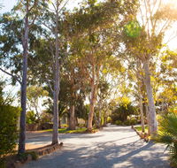 Modra's Apartments - Maitland Accommodation