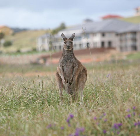 Lady Bay Hotel - Maitland Accommodation 18