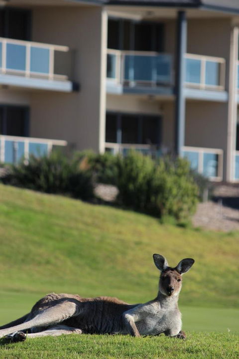 Lady Bay Hotel - Maitland Accommodation 16