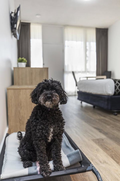 Adelaide Road Motor Lodge - Maitland Accommodation 2