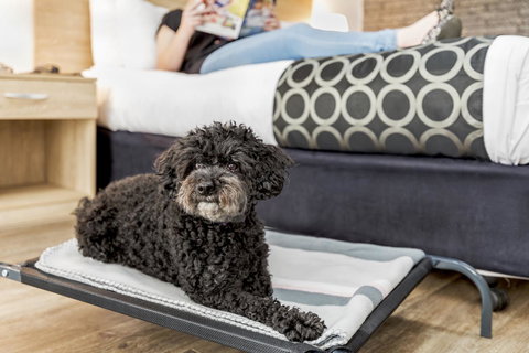 Adelaide Road Motor Lodge - Maitland Accommodation 5