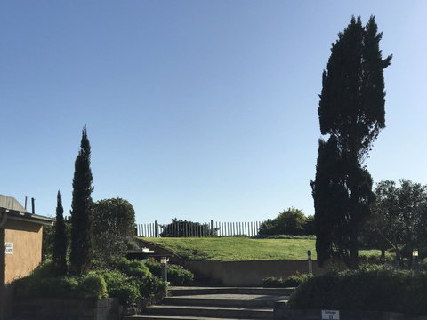 Caledonian Inn - Maitland Accommodation 24