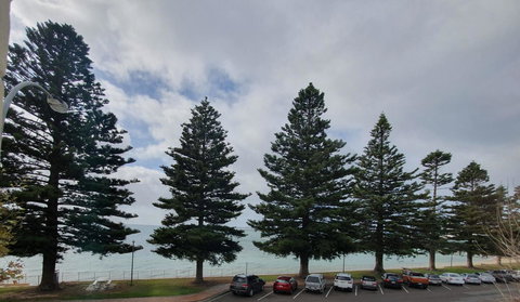 Pier Hotel Port Lincoln - Maitland Accommodation 12