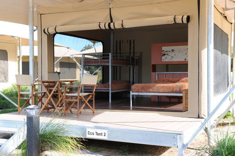 Discovery Parks - West Beach Parks - Maitland Accommodation 29