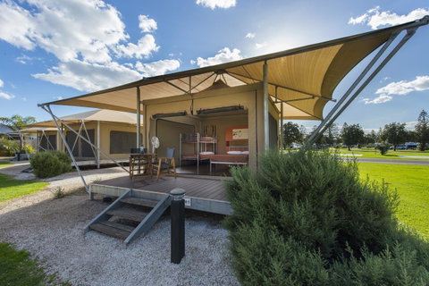 Discovery Parks - West Beach Parks - Maitland Accommodation 30