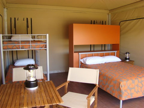 Discovery Parks - West Beach Parks - Maitland Accommodation 28