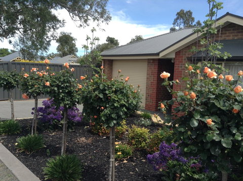 C And C Tanunda - Maitland Accommodation 1