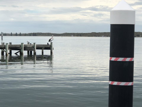 Goolwa Marinerâ€™s Cottage - Free Wifi And Pet Friendly - Centrally Located In Historic Region - Maitland Accommodation 31