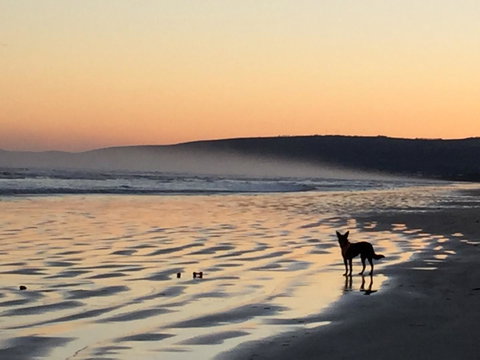 Goolwa Marinerâ€™s Cottage - Free Wifi And Pet Friendly - Centrally Located In Historic Region - Maitland Accommodation 35