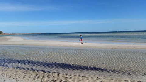 Seafront Shack - Maitland Accommodation 9
