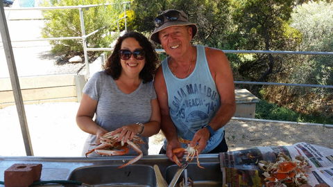 Ardrossan Caravan Park - Maitland Accommodation 2